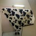 画像2: 50's-　”COW PRINT"　PATTERN　BLACK × WHITE　COTTON CANVAS　CLOTH (2)