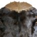 画像9: 1910's- "Georges Causard"　SHAWL COLLAR　REAL　GRIZZLY　HAIR ON HIDE　COAT　SPECIAL　very old !!　　