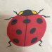 画像5: 70's "lady beetle（7星てんとう虫）”　ラグラン・スリーブ　PRINTED Tee SHIRTS　（しみこみPRINT）