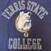 画像5: 70's "Collegiate Pacific"　COLOR　FLOCK　PRINTED　「BULLDOG」　COLLEGE　PRINTED　Tee SHIRTS　rare !!