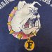 画像6: 70's "Collegiate Pacific"　COLOR　FLOCK　PRINTED　「BULLDOG」　COLLEGE　PRINTED　Tee SHIRTS　rare !!