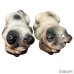 画像9: 50's "BULLDOG"　motif　SALT & PEPPER