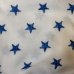 画像11: 50's ”King Louie”　ADVERTISING　RAYON　BOWLING　SHIRTS　WITH　STARS　EMBROIDERY　SIZE表記：L　good embroidery !!