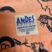 画像2: 〜50's " ANDES"   「PRINCETON UNIVERSITY」　MEMORIAL   COTTON  SHORT SLEEVE SHIRTS　”PRINCETON TIGER　×　8 BALL" (2)