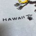 画像14: 70's DEAD STOCK　”HANG LOOSE HAWAII”　PRINTED Tee SHIRTS
