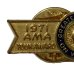 画像2: 1971's AMA TOUR AWARD PINS (2)