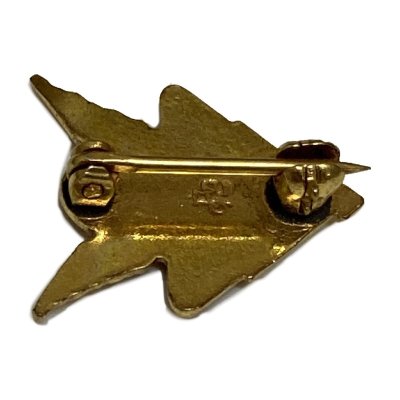 画像3: American Motorcycle Association PINS　24