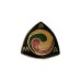 画像1: American Motorcycle Association PINS　(1)-1 (1)