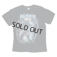 2011's "AVALANCHE" TOUR Tee SHIRTS