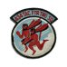 画像1: "U.S.AIR FORCE" 434 TAC FTR TNG SQ　PATCH (1)
