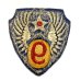 画像2: WWII US shoulder sleeve insignia of the 9th Air Force　PATCH (2)