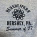 画像7: 1977's HERSHEYPARK PRINTED Tee SHIRTS
