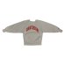 画像5: 90's CHAMPION REVERSE WEAVE　PRINTED SWEAT SHIRTS