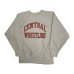 画像1: 90's CHAMPION REVERSE WEAVE PRINTED SWEAT SHIRTS　(2) (1)