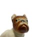 画像6: OLD FRENCH BULLDOG FIGURINE (1)