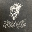 画像3: 90's "STRAY CATS"　「BUILT FOR SPEED」　ROCK Tee SHIRTS (3)