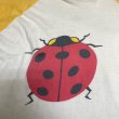 画像4: 70's "lady beetle（7星てんとう虫）”　ラグラン・スリーブ　PRINTED Tee SHIRTS　（しみこみPRINT） (4)