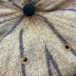 画像6: -1920's　「8 PANNELS」　VERY　OLD　BASEBALL　CAP (6)