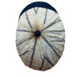画像10: -1920's　「8 PANNELS」　VERY　OLD　BASEBALL　CAP (10)