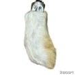 画像4: 80's DEAD STOCK　RABBIT　FOOT　LUCKY　CHARM　WHITE (4)