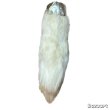 画像5: 80's DEAD STOCK　RABBIT　FOOT　LUCKY　CHARM　WHITE (5)