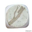 画像7: 50's "DICE"　motuf　ASHTRAY　 (7)