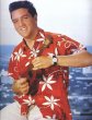 画像12: 50's "Shaheen's"　「TIARE TAPA」　 COTTON　HAWAIIAN　SHIRTS　same as ELVIS PRESLEY !! (12)