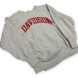 画像3: 90's CHAMPION REVERSE WEAVE　PRINTED SWEAT SHIRTS (3)