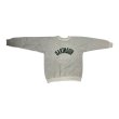 画像14: 70's "SOUTHERN ASLETIC"　「DARTMOUTH COLLEGE」 FLOCKY PRINTED SWEAT SHIRTS (14)