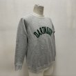 画像18: 70's "SOUTHERN ASLETIC"　「DARTMOUTH COLLEGE」 FLOCKY PRINTED SWEAT SHIRTS (18)