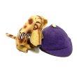 画像1: around 50's "New York University"　COLLEGE PET DOG DOLL　and　CAP (1)