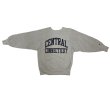 画像10: 90's ”CHAMPION REVERSE WEAVE”　PRINTED SWEAT SHIRTS　しみこみPRINTED (10)