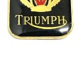 画像3: around 70's　TRIUMPH　PINS (3)