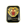 画像1: around 70's　TRIUMPH　PINS (1)