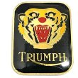 画像2: around 70's　TRIUMPH　PINS (2)