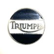 画像1: around 70's　TRIUMPH　PINS (1)