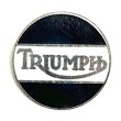 画像2: around 70's　TRIUMPH　PINS (2)