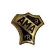 画像1: American Motorcycle Association PINS　(9) (1)