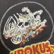 画像11: 70's "KROKUS" ROCK Tee SHIRTS (11)