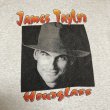 画像9: 1997's "JAMES TAYLOR" MUSICIAN TOUR Tee SHIRTS (9)