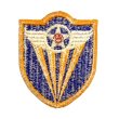 画像2: WWII US shoulder sleeve insignia of the 4th Air Force　PATCH (2)