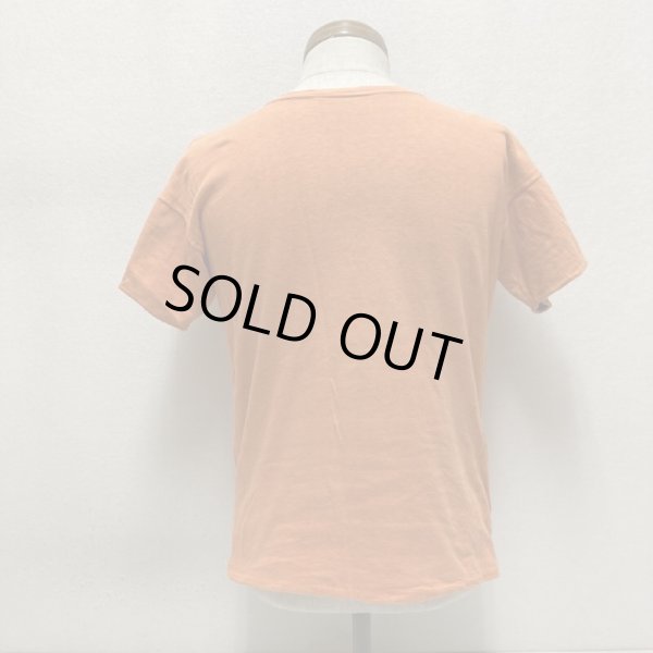 画像19: around 50's REVERSIBLE Tee SHIRTS with FLOCK PRINTED (19)