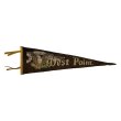 画像1: around 50's WEST POINT FELT PENNANT (1)