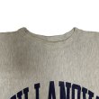 画像6: 90's Champion REVERSE WEAVE PRINTED SWEAT SHIRTS (1) (6)