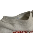 画像12: 90's CHAMPION REVERSE WEAVE PRINTED SWEAT SHIRTS (3) (12)