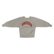 画像5: 90's CHAMPION REVERSE WEAVE　PRINTED SWEAT SHIRTS (5)