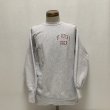 画像14: 90's CHAMPION PRINTED REVERSE WEAVE SWEAT SHIRTS WITH BACK PRINTED (14)