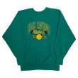 画像1: 90's CHAMPION REVERSE WEAVE PRINTED SWEAT SHIRTS (1)