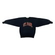 画像3: 90's CHAMPION REVERSE WEAVE PRINTED SWEAT SHIRTS (3)